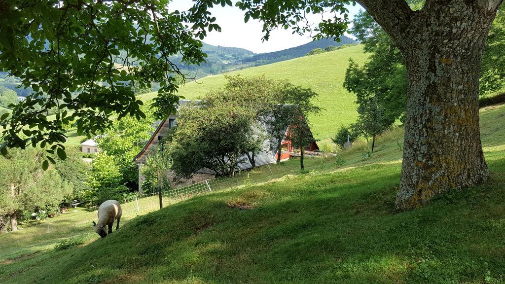 Le Chat Rouge Chambres D'Hotes De Charme En Alsace Orbey Exterior foto